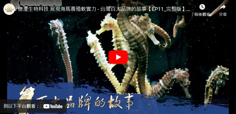 Lighting up New Taiwan