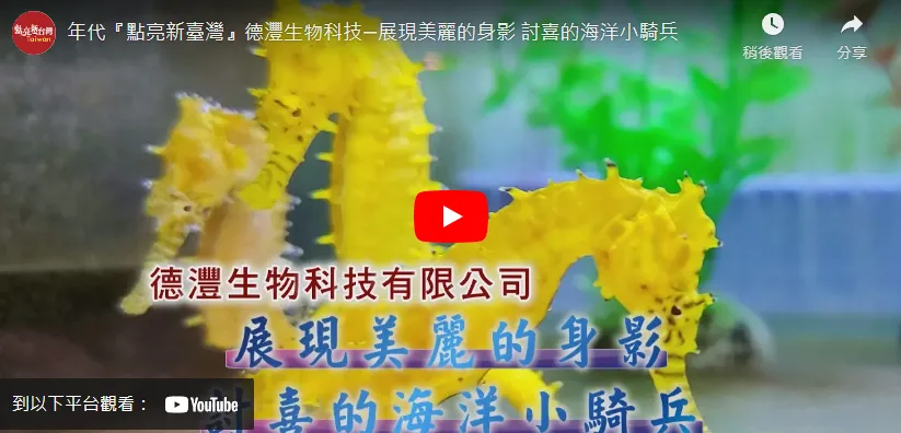 Taiwan's Top 100 Brand Stories